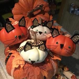 Meet your Posher, Joyphil